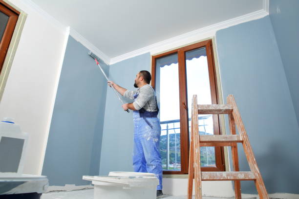 Best Basement Mold Removal  in Santa Paula, CA