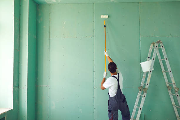 Best Mold Documentation for Insurance Claims  in Santa Paula, CA