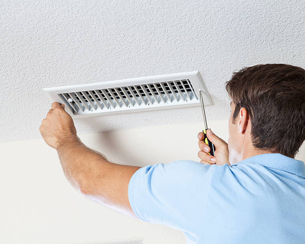 Best Crawl Space Mold Remediation  in Santa Paula, CA