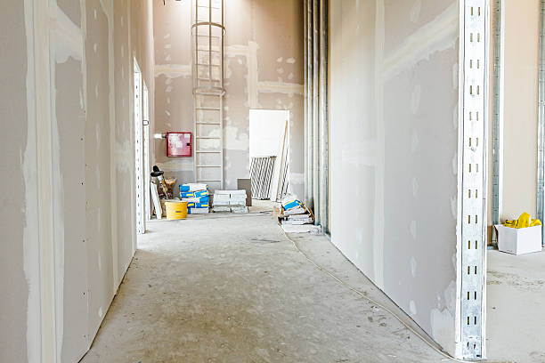 Best Real Estate Mold Inspection  in Santa Paula, CA